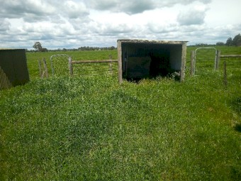 Sheep, Alpaca, Greyhound ect Pens