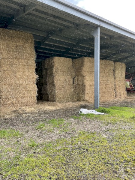 65mt Ryegrass/Clover Pasture Hay 540kg 8x4x3 Bales