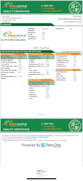120mt Rye Grass Hay 550-600kg 8x4x3 Bales