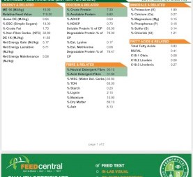 120mt Rye Grass Hay 550-600kg 8x4x3 Bales