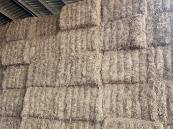 2022 Season Vetch Hay (Shedded)