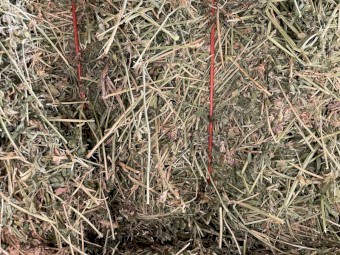 200mt Lucerne Hay 8x4x3 Bales