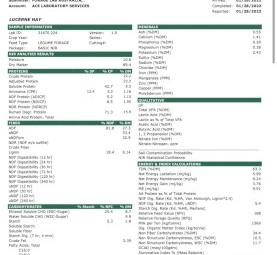 200mt Lucerne Hay 8x4x3 Bales
