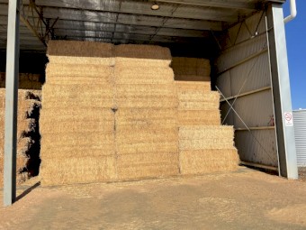 200mt Lucerne Hay 8x4x3 Bales