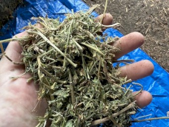 250mt Vetch Hay 780kg 8x4x3 Bales