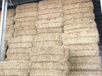 Barley Straw 8x4x3 Bales + Freight