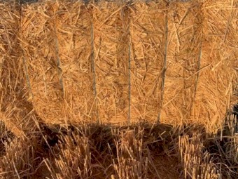 Barley Straw 8x4x3 Bales + Freight