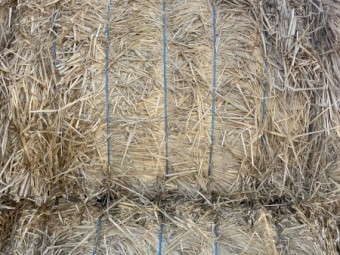 Barley Stripper Straw