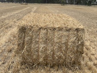 Barley Straw Header Trailings