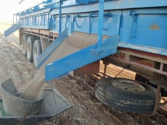 Grouper Custom Built One Side Delivery Bins on 42ft Trailer