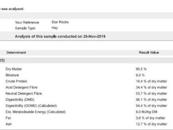 Vetch Hay 8x4x3 Bales