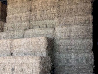 Vetch Hay 8x4x3 Bales