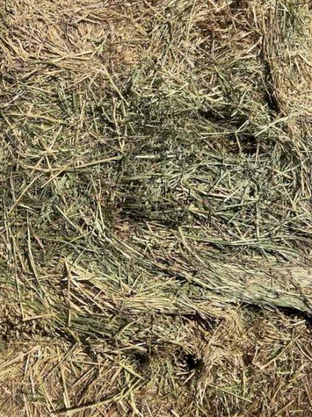 Oaten Hay 640kg 8x4x3 Bales | Farm Tender