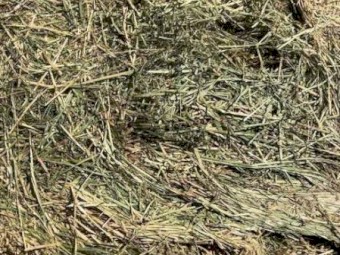 Oaten Hay 640kg 8x4x3 Bales