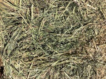 Oaten Hay 640kg 8x4x3 Bales