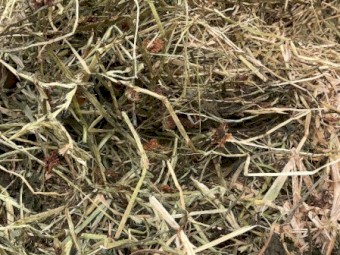 Oaten/Rye/Clover Mix Hay 640kg 8x4x3 Bales