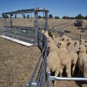 WANTED Proway Bulkhandler