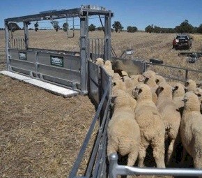 WANTED Proway Bulkhandler