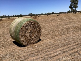 Clover and Medic hay