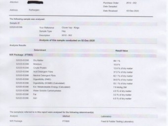 Clover and Medic hay