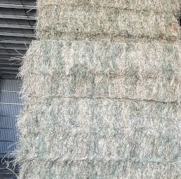 Pasture rye/clover hay