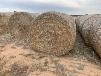 170 x  Oaten Hay 5x4 Round Bales (New Season)
