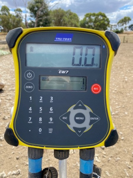 Prattley 3 Way Manual Weigh Crate with EW7 Tru-Test indicator & Load Bars.