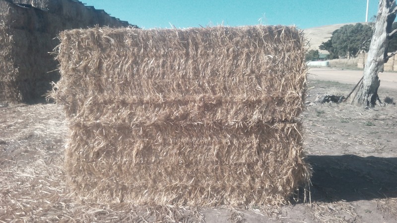 Oaten Header Trail Straw (8x4x3) baled with High Density baler (New Season)