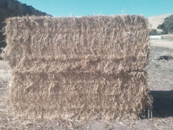 Oaten Header Trail Straw (8x4x3) baled with High Density baler (New Season)