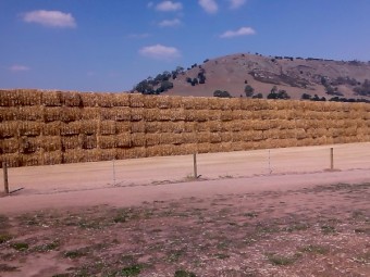 Oaten Header Trail Straw (8x4x3) baled with High Density baler (New Season)