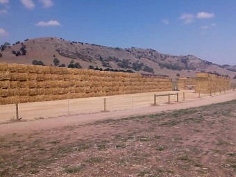 Oaten Header Trail Straw (8x4x3) baled with High Density baler (New Season)