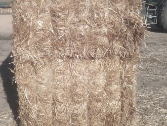 Oaten Header Trail Straw (8x4x3) baled with High Density baler (New Season)