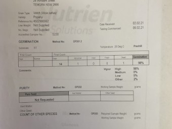 50mt Popany Vetch Seed