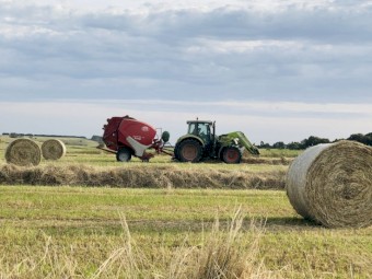 ANNUAL RYE - Pasture Hay - Round Bales 