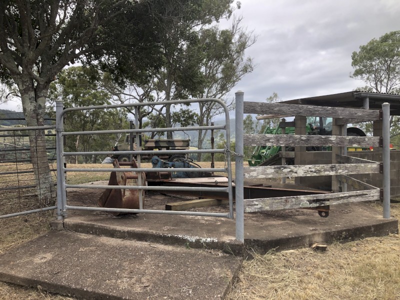 Cattle yards, loading ramp, crush and a number of gates 