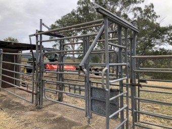 Cattle yards, loading ramp, crush and a number of gates 