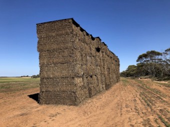 190mt Vetch Hay 605kg 8x4x3 Bales