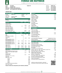 100 x 2021 Good Quality Pasture Silage