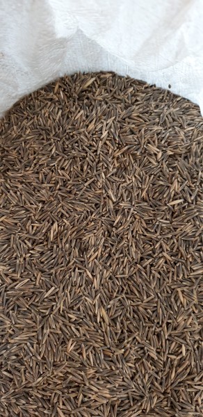 1mt of Saia Oats in Bulka Bags