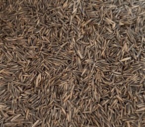 1mt of Saia Oats in Bulka Bags