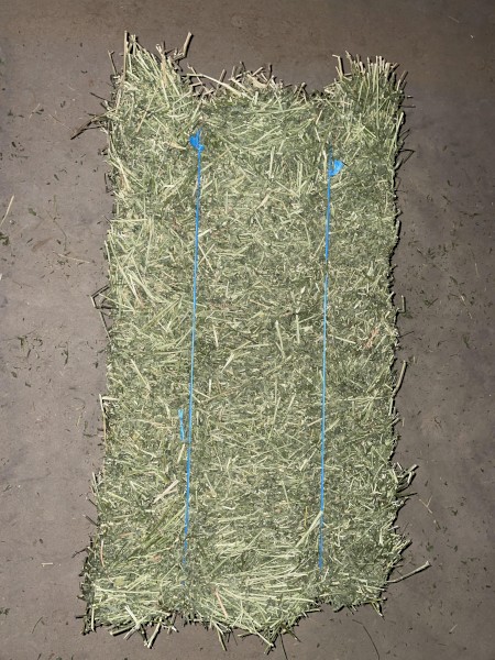 Prime Lucerne Small Squares