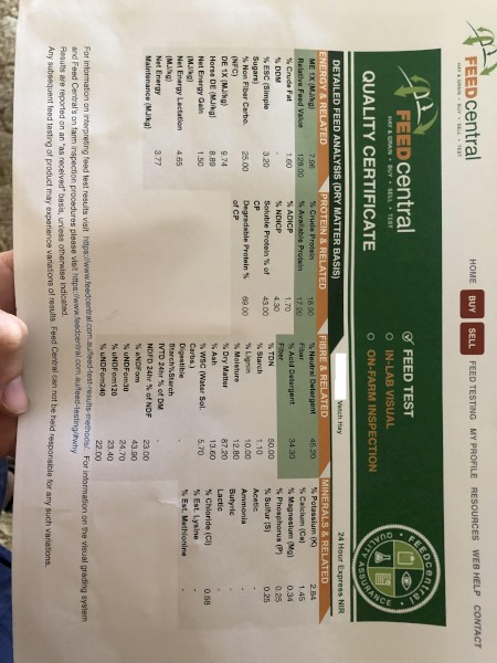 37mt Vetch Hay 8x4x3 Bales