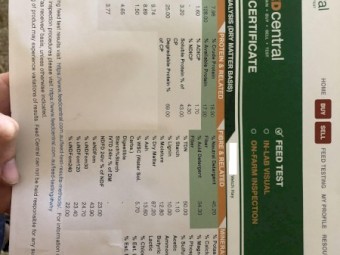 37mt Vetch Hay 8x4x3 Bales