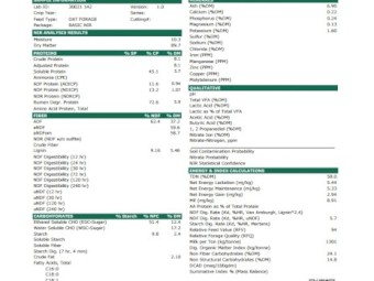 200mt Oaten Hay 8x4x3 Bales