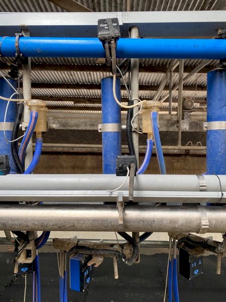 DeLaval Dairy for Sale