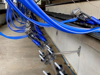 DeLaval Dairy for Sale