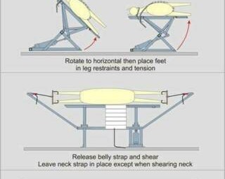 Pneumatic Alpaca Shearing table (Softfoot shearing table)