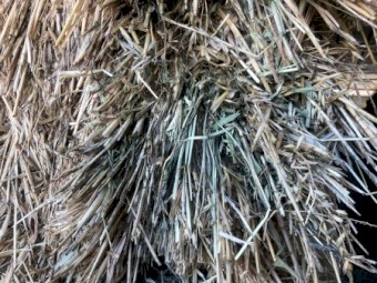 Oaten Hay 8x4x3 Bales