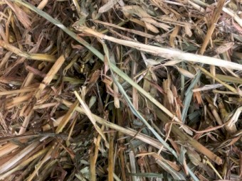 Oaten Hay 8x4x3 Bales