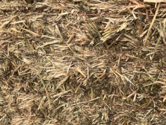 Oaten Hay 8x4x3 Bales
